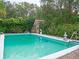 Inviting rectangular pool with surrounding landscaping at 263 Overbrook E St, Largo, FL 33770