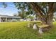 Stone table and bench set under a large shade tree in the front yard of a single-Gathering home at 3400 Lake Padgett Dr, Land O Lakes, FL 34639