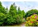 Backyard view lush green trees and pink flowers at 4533 Ashburn Square Dr # 4533, Tampa, FL 33610