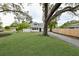 Spacious front yard with a large tree and a white house with black accents at 5816 Woodrow Wilson Ne Blvd, St Petersburg, FL 33703