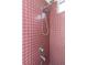 Shower stall with maroon tile and double shower head at 599 Centerwood Dr, Tarpon Springs, FL 34688