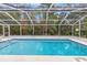 Sparkling, refreshing swimming pool with screened enclosure at 599 Centerwood Dr, Tarpon Springs, FL 34688