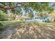 Large backyard with mature trees and grassy area at 11012 N Oregon Ave, Tampa, FL 33612