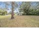 Large backyard with mature trees and grassy area at 11012 N Oregon Ave, Tampa, FL 33612