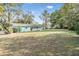 Large backyard with mature trees and grassy area at 11012 N Oregon Ave, Tampa, FL 33612