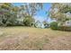 Large backyard with mature trees and grassy area at 11012 N Oregon Ave, Tampa, FL 33612