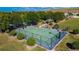 Community basketball court with ample green space at 14525 Scottburgh Glen Dr, Wimauma, FL 33598