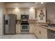 Modern kitchen with stainless steel appliances and light cabinets at 16809 Woburn Ln, Lutz, FL 33549