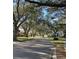 Tree-lined street showcasing neighborhood charm at 16809 Woburn Ln, Lutz, FL 33549