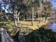 Scenic backyard with mature trees and a glimpse of the lake view from the property at 2217 Sequoia Dr, Clearwater, FL 33763