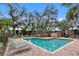 Inviting community pool with lounge chairs and surrounding trees at 2670 Sequoia Ter # 1406, Palm Harbor, FL 34683