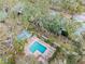 Aerial view of community pool and patio area with surrounding lush landscaping at 2670 Sequoia Ter # 1406, Palm Harbor, FL 34683