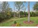 Natural backyard landscape with trees and grass at 2721 Tarragona Way, Wesley Chapel, FL 33543