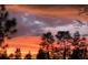 Beautiful sunset over the trees and landscape at 2721 Tarragona Way, Wesley Chapel, FL 33543