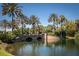 Landscaped bridge over a serene lake with palm trees at 430 Cedar Falls Dr, Apollo Beach, FL 33572