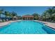 Resort-style pool with palm trees and lounge chairs at 430 Cedar Falls Dr, Apollo Beach, FL 33572