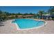 Community pool with ample deck space for lounging at 430 Cedar Falls Dr, Apollo Beach, FL 33572