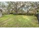 Spacious backyard with lush lawn and trees at 6017 Hammock Hill Ave, Lithia, FL 33547