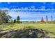 Scenic view of a lake and homes under a bright sky at 10929 Brooksnest Ct, Lithia, FL 33547