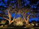 Stunning two-story home with stone accents, beautifully lit at night at 16403 Zurraquin De Avila, Tampa, FL 33613