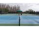 Outdoor pickleball courts offer a community recreational amenity, perfect for friendly matches and active lifestyles at 19427 Redwood Point Dr, Tampa, FL 33647