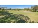 Expansive view of a well-manicured golf course on a sunny day at 2621 Cove Cay Dr # 205, Clearwater, FL 33760