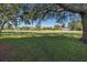 Golf course view with large oak trees at 2621 Cove Cay Dr # 205, Clearwater, FL 33760