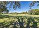 Scenic view of a lush green golf course with palm trees under a clear sky at 2621 Cove Cay Dr # 205, Clearwater, FL 33760