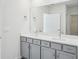 Double vanity bathroom with gray cabinets and a large mirror at 31814 Oyster Trellis Ln, Wesley Chapel, FL 33545