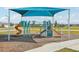 Community playground with shade structure, slides, and swings at 31814 Oyster Trellis Ln, Wesley Chapel, FL 33545
