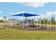 playground with slides, swings, and shade at 31814 Oyster Trellis Ln, Wesley Chapel, FL 33545