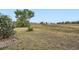 Large backyard with grassy area and mature trees at 1207 Eastloch Ct, Sun City Center, FL 33573
