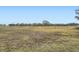 Open land with grassy area and distant trees at 1207 Eastloch Ct, Sun City Center, FL 33573