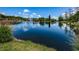 Tranquil lake view with lush greenery at 1531 Riverdale Dr, Oldsmar, FL 34677