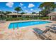Community pool with lounge chairs and covered area at 1531 Riverdale Dr, Oldsmar, FL 34677