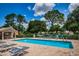 Community pool with lounge chairs and shaded area at 1531 Riverdale Dr, Oldsmar, FL 34677