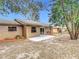 Backyard with patio, fenced yard, and trees at 1612 Fox Run Dr, Tarpon Springs, FL 34689