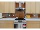Modern kitchen with stainless steel appliances and dark brown tile backsplash at 2549 Martha Ln, Land O Lakes, FL 34639