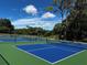 Two new pickleball courts with blue and green surfaces at 36750 Us Highway 19 N # 23120, Palm Harbor, FL 34684