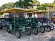 Multi-person surreys for guest transportation at 36750 Us Highway 19 N # 23120, Palm Harbor, FL 34684