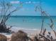 Scenic beach view with calm water and driftwood at 458 Grant St, Dunedin, FL 34698