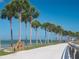 Peaceful waterfront walkway with palm trees at 458 Grant St, Dunedin, FL 34698