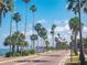 Palm tree-lined street with waterfront views in Dunedin at 458 Grant St, Dunedin, FL 34698