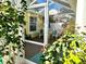 View of patio through screened enclosure, showing lush greenery at 458 Grant St, Dunedin, FL 34698