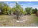 Landscaped backyard with palm trees and a circular garden bed at 630 Bayside Dr, Tarpon Springs, FL 34689