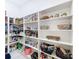 Well-organized pantry with custom shelving and lots of storage at 8459 Harvey Walden Dr, Plant City, FL 33565