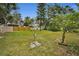 Large grassy backyard with mature trees and plenty of space at 1034 Sunnydale Dr, Clearwater, FL 33755