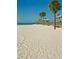 Scenic view of a sandy beach with palm trees and pier at 1106 Carlton St, Clearwater, FL 33755