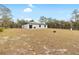 Large backyard with fire pit and house view at 16125 Magpie Rd, Weeki Wachee, FL 34614