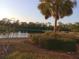 Peaceful lake view with palm trees and landscaping at 1950 Sterling Glen Ct, Sun City Center, FL 33573